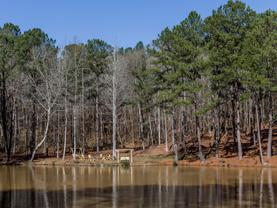 Creek Lodge Pond